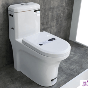 Bồn cầu sứ BC269